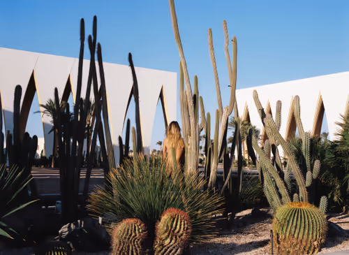 Item #37558851145883710115474257074515547318400671776868619856440267946830357069825 Media