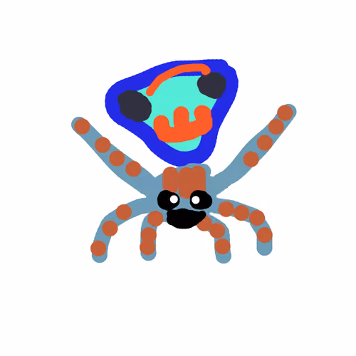 Peacock Spider