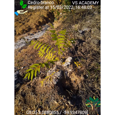 Item #8500196597889277390194123329501889087166328879864934763448348729158313967617 Media