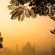 EDITIONS : ARCHIT SHARMA