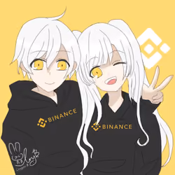 Binance Coin (BNB)
