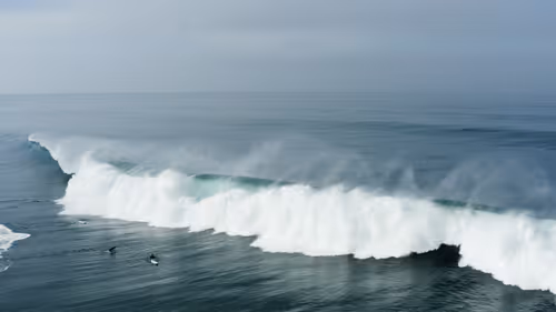 Item #36803766187647196690517014366493952358167166362150973793678746440013092749313 Media