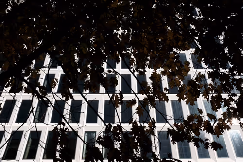 Item #63469761567061717341732170854689072472341875368113613158341509149147392901121 Media