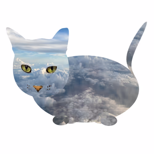 Item #7075100801842414929541159204983769780243264764604993181312715154376150220801 Media