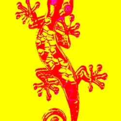 salamandra de ibiza
