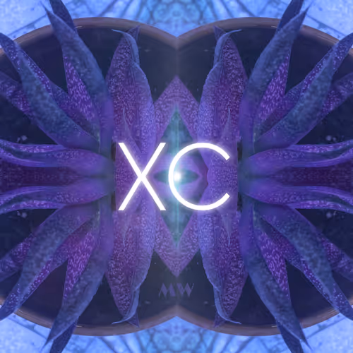 Item #19210465105675963393962241646515576401049853696386376916122500210477190086657 Media