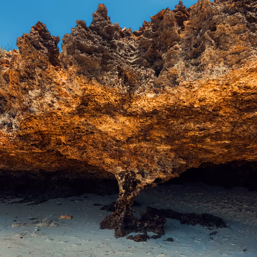 Tales From The Ocean