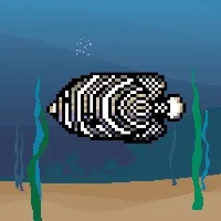 Etherfishing