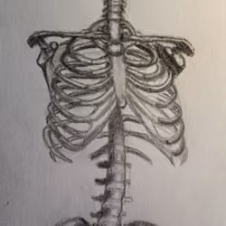 Jojo's skeleton