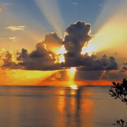 God Morning - Seychelles