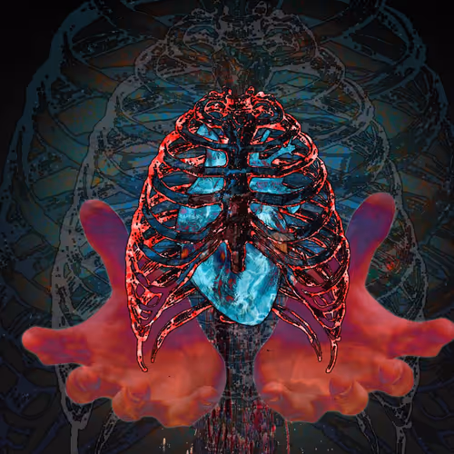 MANIFESTA Collection