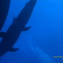 80965803268169370603932631570667161375508893671094224909166964188685086490625