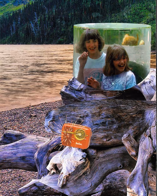 Item #49174666910166564779922856925235532419926271386136280699772621385176056856577 Media