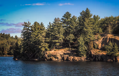 Item #78614967916850878758896281278088562819031429561597845143063368091568177152001 Media