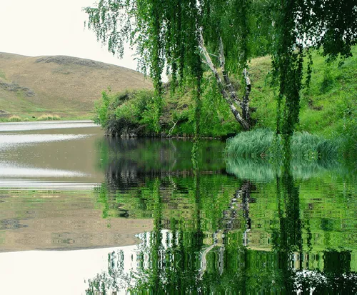 Item #86790613363295954350569755876700905735741597102151041138588277781985102921729 Media