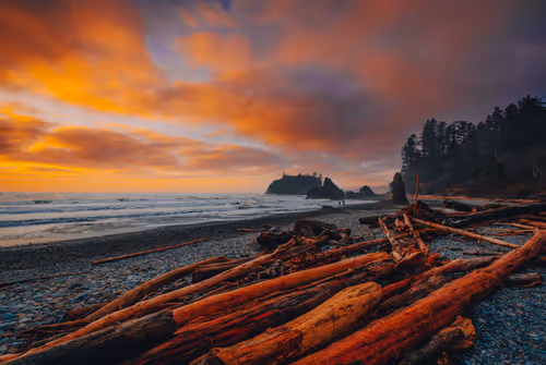 Item #68893585543807319925330967808538718473616889989347730596649157793127841398785 Media