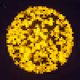 109465923035680512136283285722478726699648901101494319135368784616060629286913