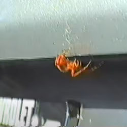 Energy Spider