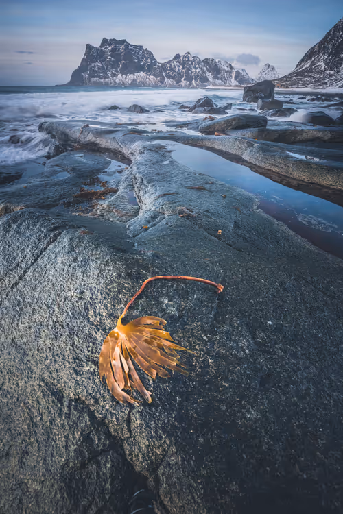 Item #28682539069684656541734828821976802711290237176293642286881478776965044371457 Media