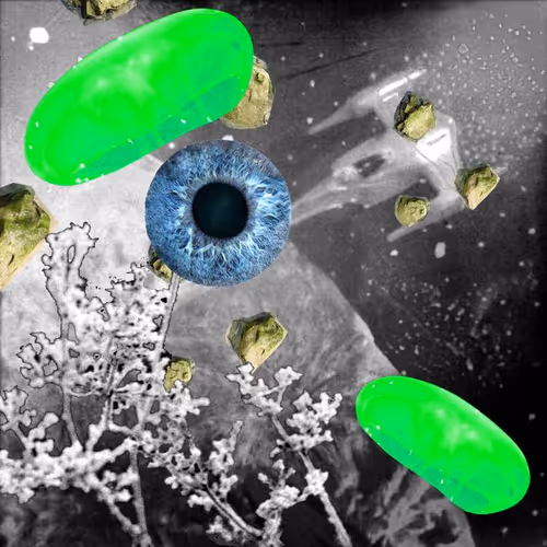 Item #99617095079910595980254990270876944363628162276742898399989141807124816330753 Media