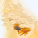 21058230940437742586650391575338221932342665194758349150916503898562681110529