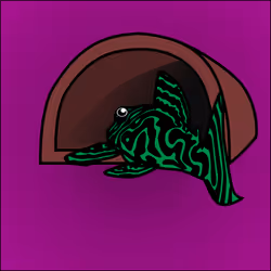 81664083123670143983968740139941474364733981378414170565535210816546600386561