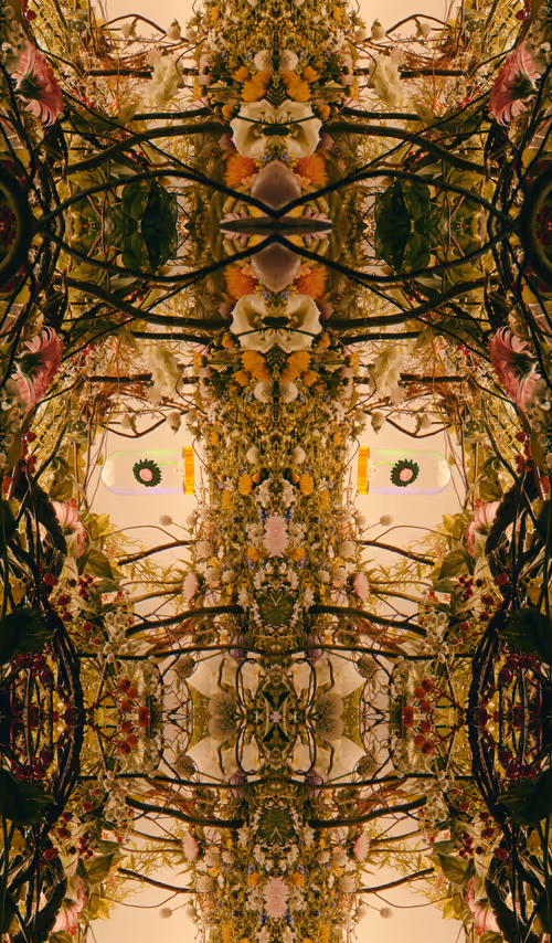 Item #54411499690937640101772425138653578544162397958311670010148906843388424224769 Media