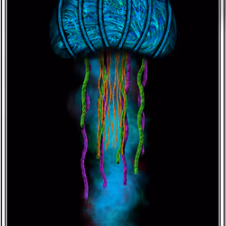 51297453693788132298669809830038636826071347270421607062891709962512295264257