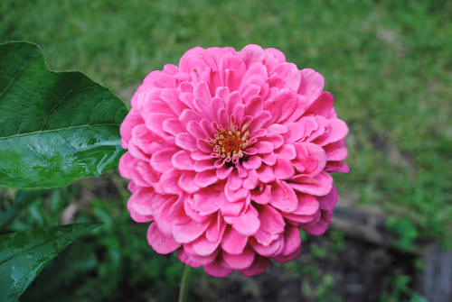 Item #40090172695085413256965535555586358742660933280315103792741764904256997949441 Media