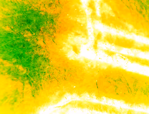 Item #71646257518770613568983710813551014237803002136866425209291834348450982395905 Media