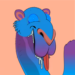 Cool Camel #0018