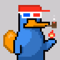 Platy Punk #808