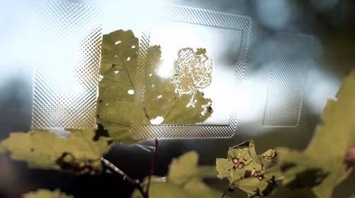 Item #48973900922828384220280261155421732843482069862866083285063938527008391168001 Media