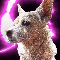 "Nilla the Rescue Dog": A Literary NFT limited edition (2 of 5)