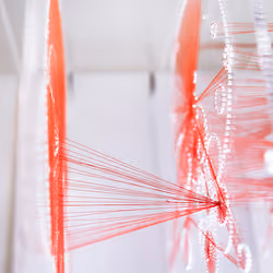 Knots, Time Landscape _v03