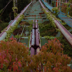 9099324276404466679337908313471152083242765489653208148056663821253976522753