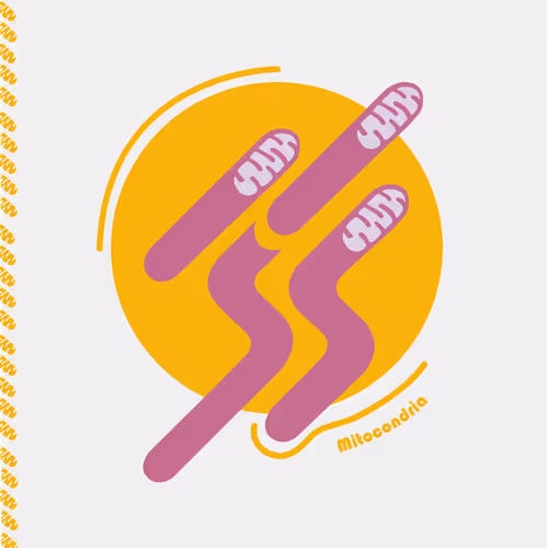 Item #28217420329942861487200254143315689988869562790284857015817128396397601619969 Media