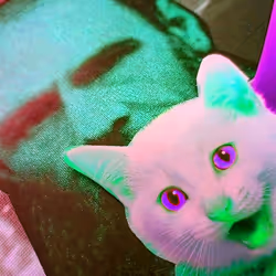 4747115153065902387790593868107453782499677024781155622119190054373102190593