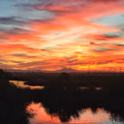 Sherbert Reflections