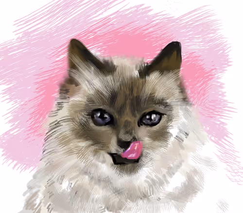 Item #77918824234068075895219364832016968279069003616605896841134640746664189493249 Media