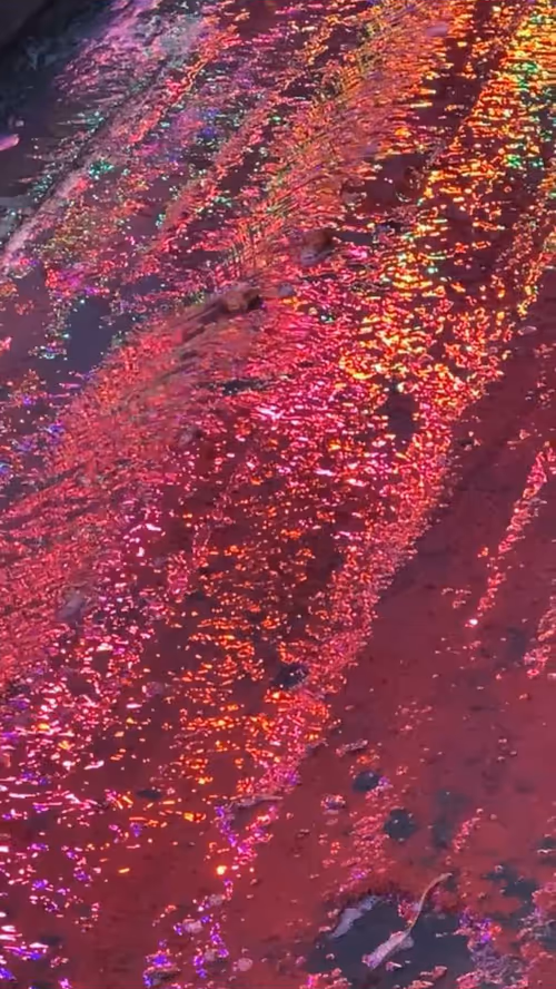 Item #62402000334580523921237358418718502457721815832787791947048085144163504357377 Media