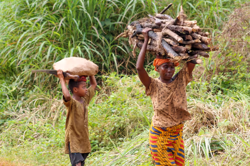 Item #27044860133245640427744722602934654172469236008198595321627444218770403360769 Media