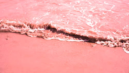 Item #80771556442756265183301050627387931027894134790905181009739115059074935291905 Media