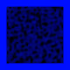 8446231778204036088598873630199886747849421738487104550733680225822865096705