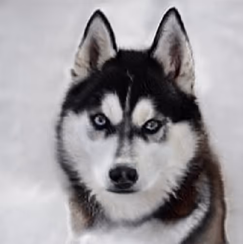 Item #55525875118330994482032925216761404736570211771565447267945268433390120468481 Media