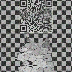 #19 DogeQr