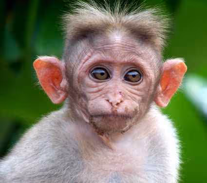 Untitled Collection #95793630