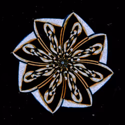 26185187814367725376940026929040218982398144969044494291860281307150027849729