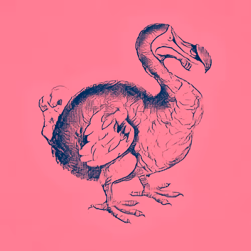 Item #17635803375648012338610213380030160191715370757553255260744606414007298949121 Media