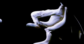 Item #64937308923702188921050477922985568255563615287509163663175392240888195317761 Media